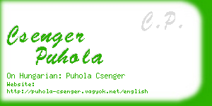 csenger puhola business card